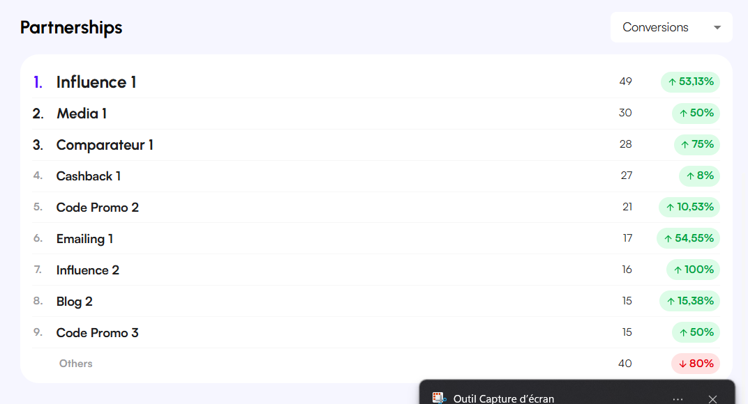 Affilae Interface - Publisher partnerships performance table